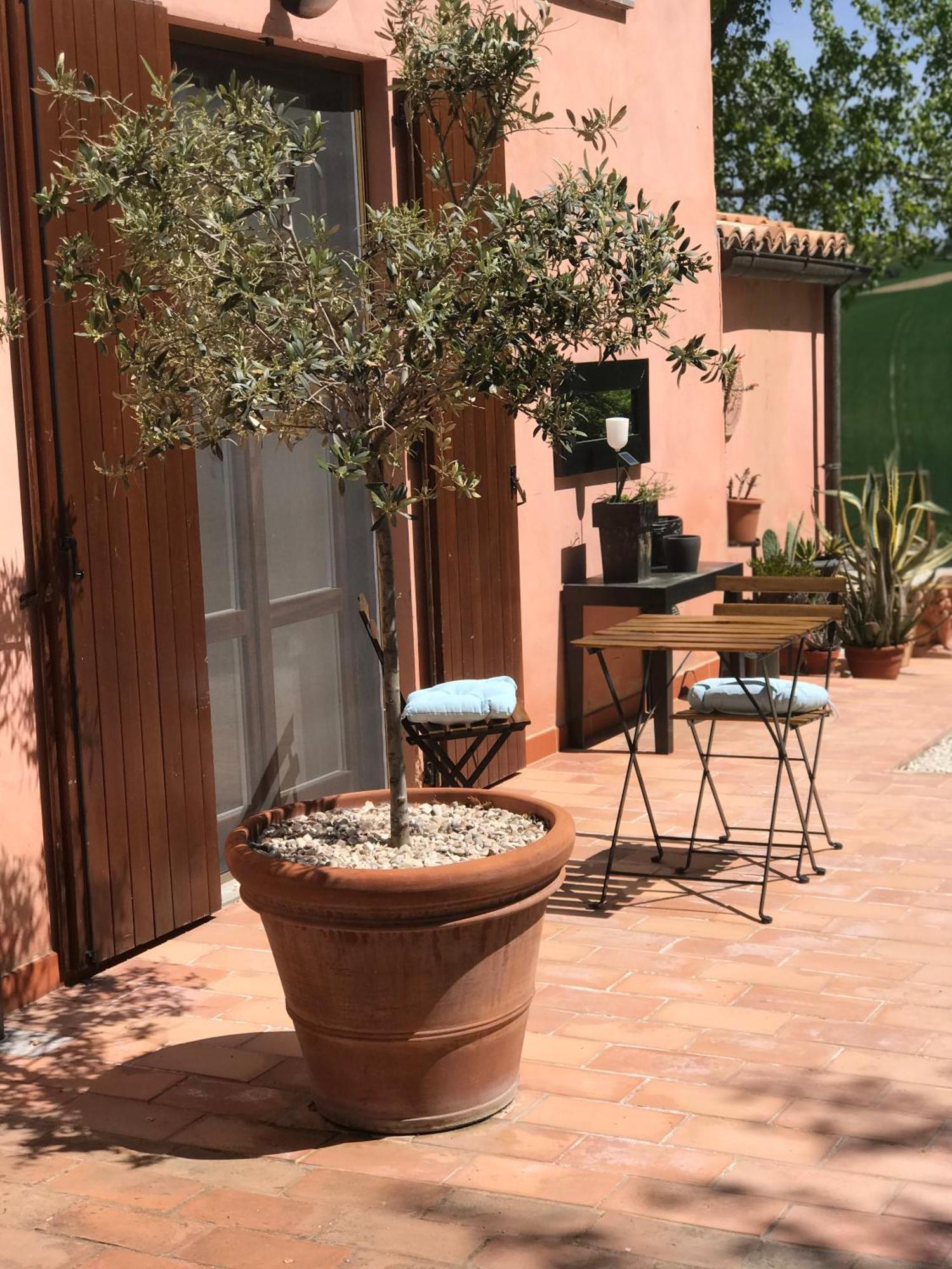 Il Posto Perfetto Acomodação com café da manhã Santa Maria Nuova  Exterior foto